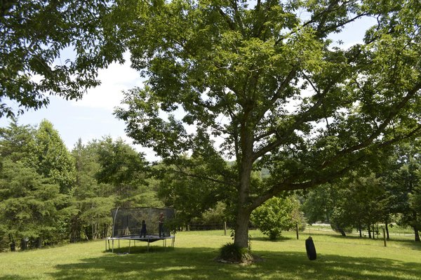 Comment choisir le bon prénom pour son enfant ?