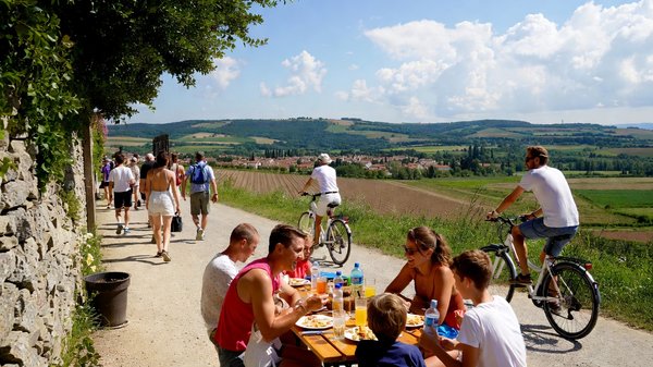 Découvrez les meilleures activités en famille en vendée pour 2026